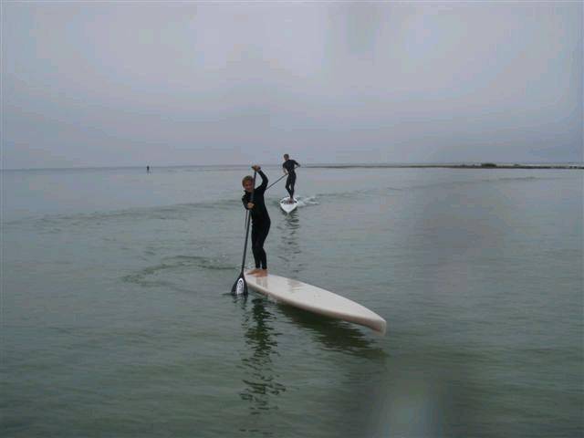 LONGBOARDS 006 (Small)