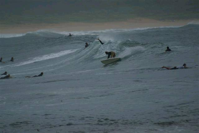 DSC01691 (Small) (2)