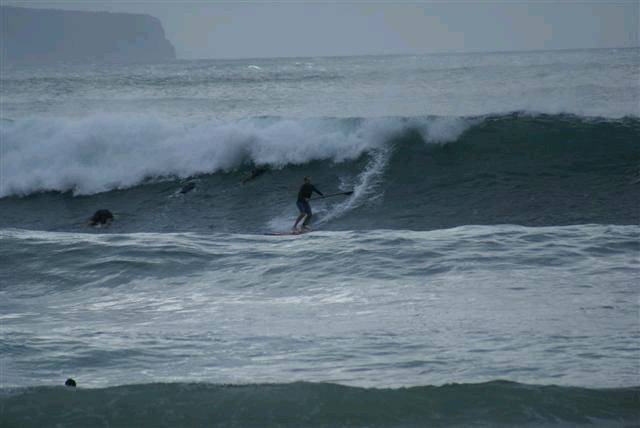 DSC01853 (Small)