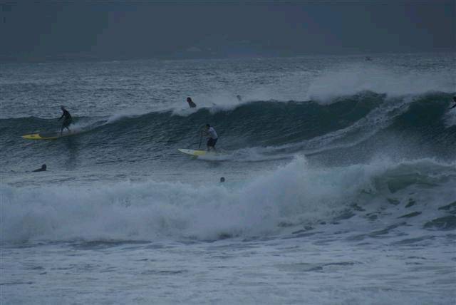 DSC01870 (Small)
