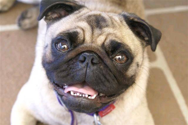DSC01524 (Small)
