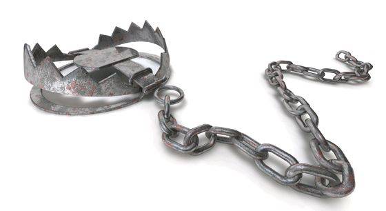 bear-trap