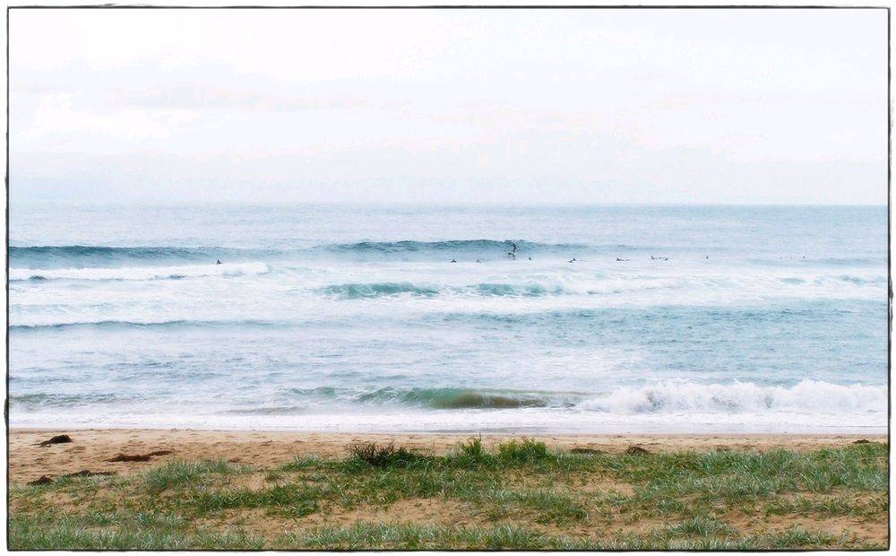 Paul Sharkies 001