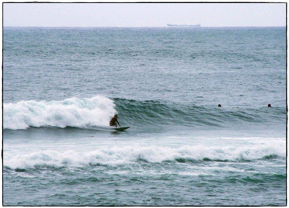 Paul Sharkies 003