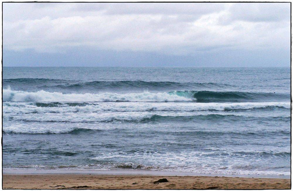 Paul Sharkies 005