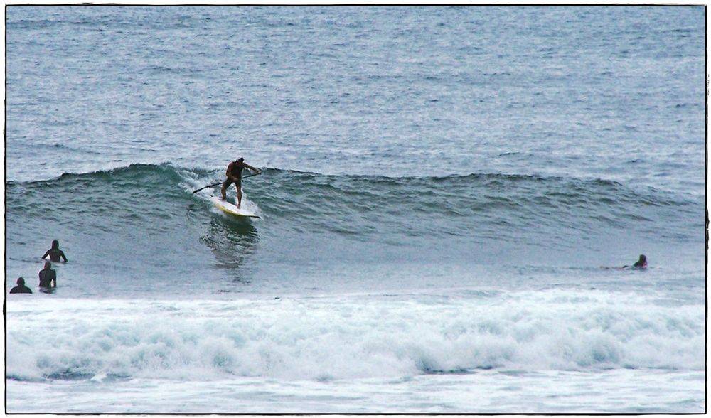 Paul Sharkies 008