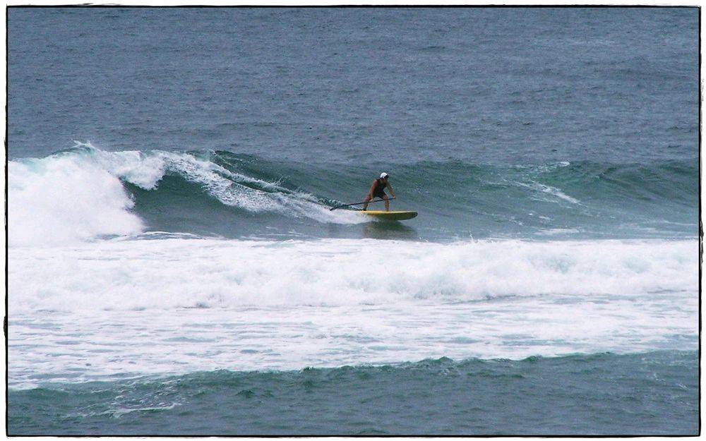Paul Sharkies 015