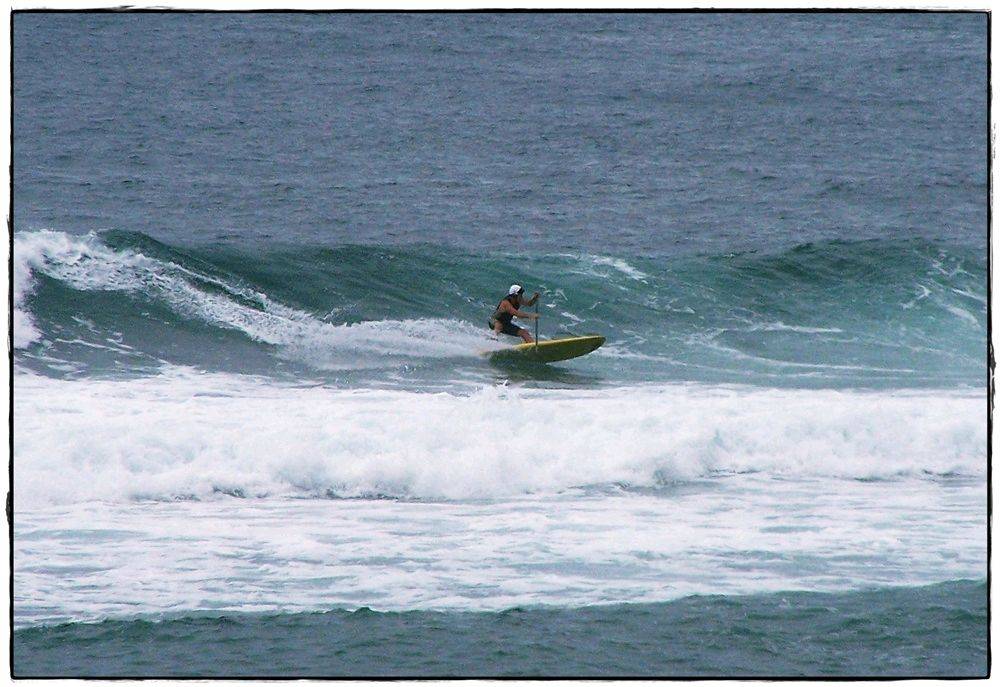 Paul Sharkies 016