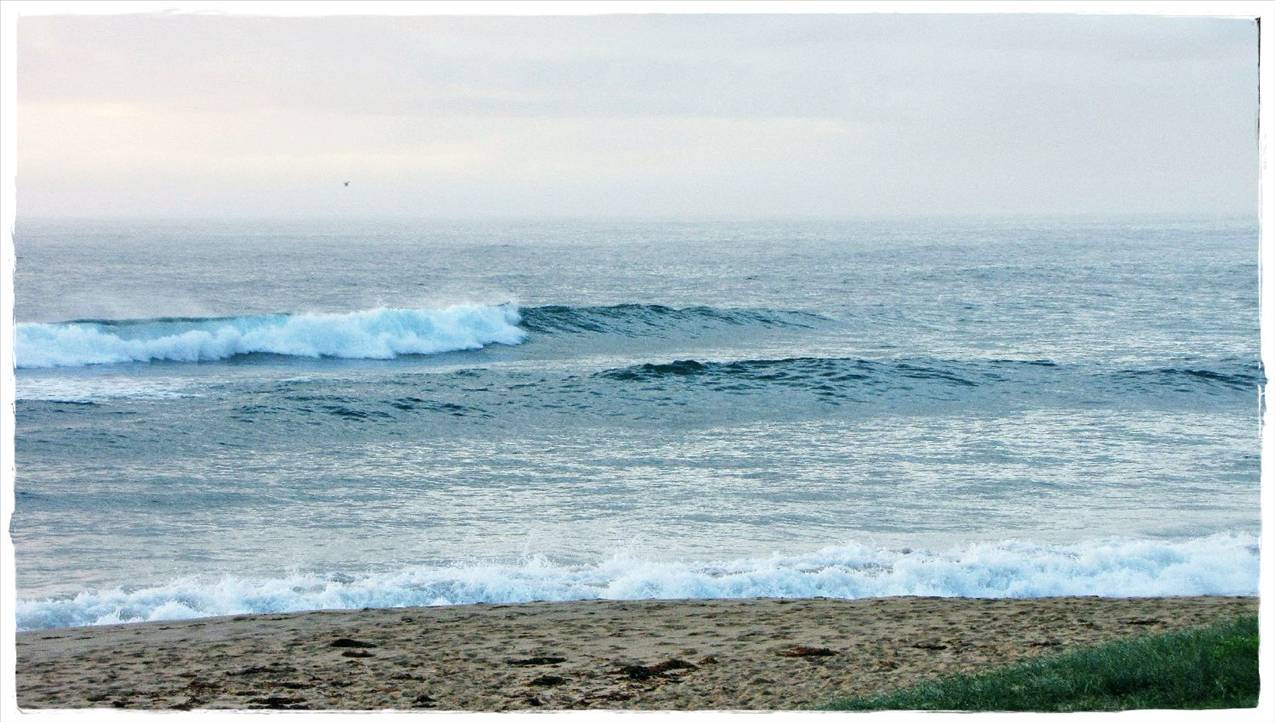 Tues Sharkies 004