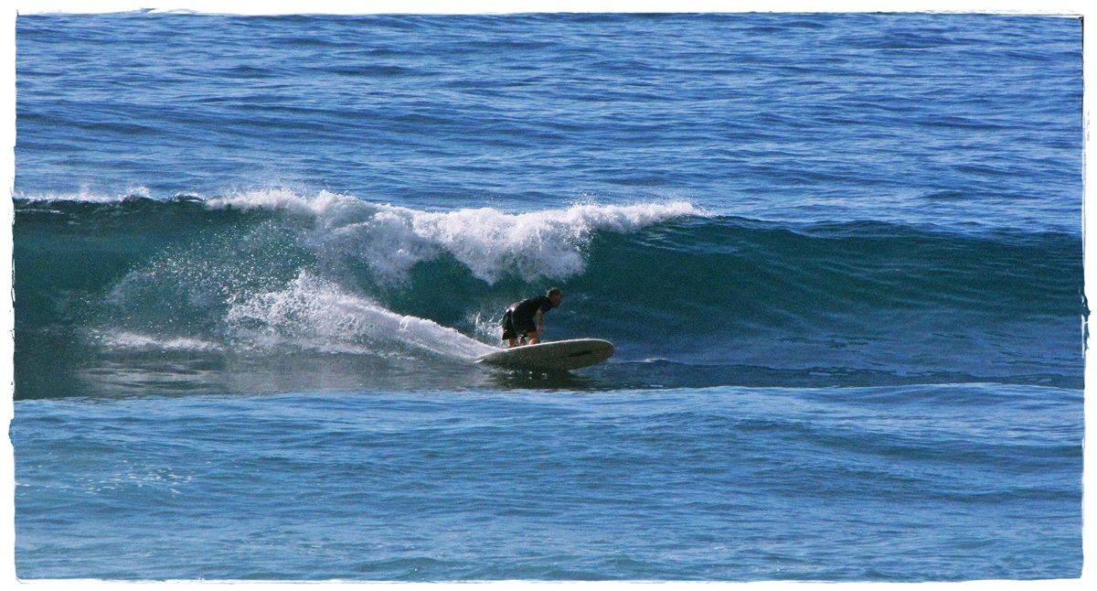 Tues Sharkies 018
