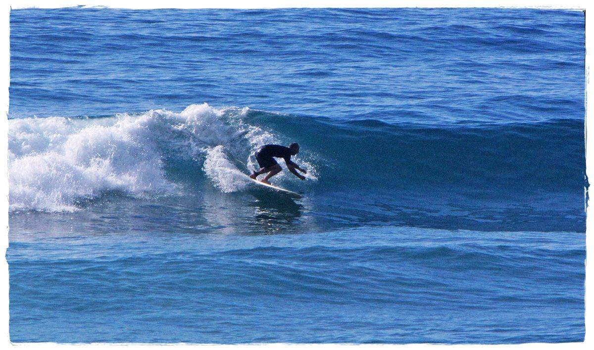 Tues Sharkies 022