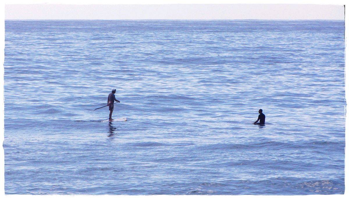 Tues Sharkies 035