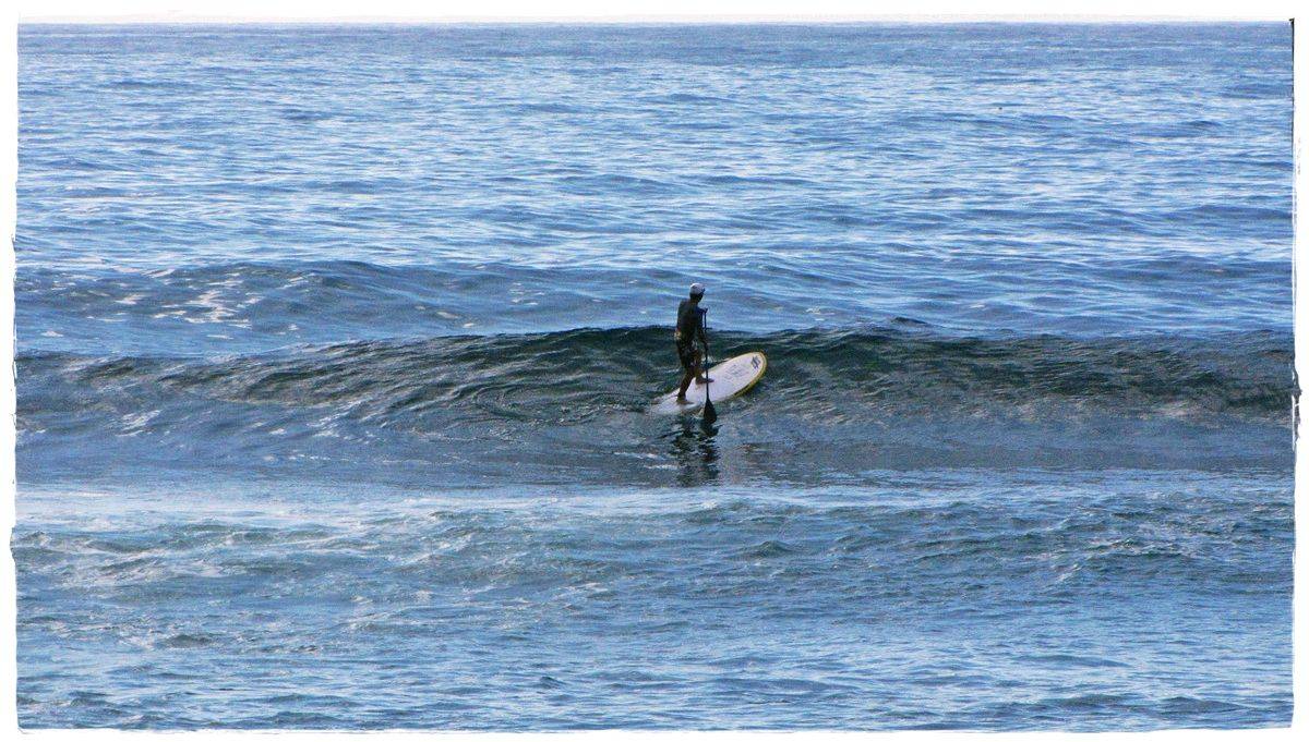 Tues Sharkies 036
