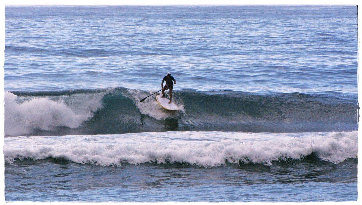 Tues Sharkies 037