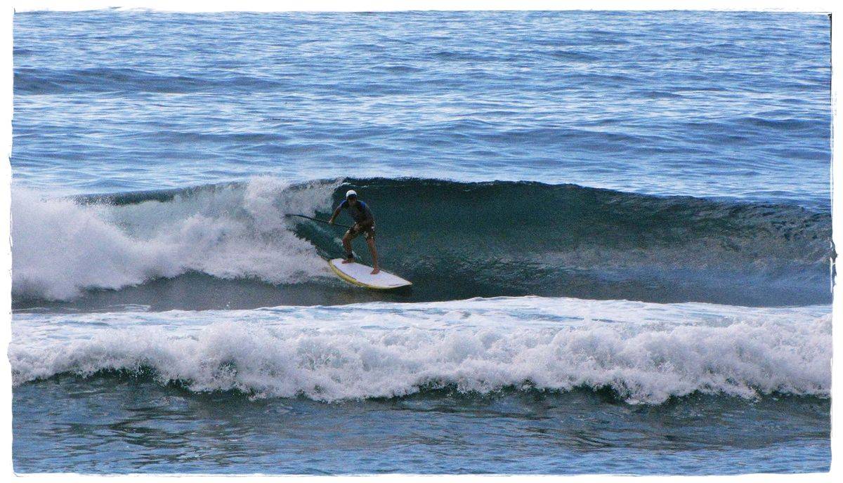 Tues Sharkies 038