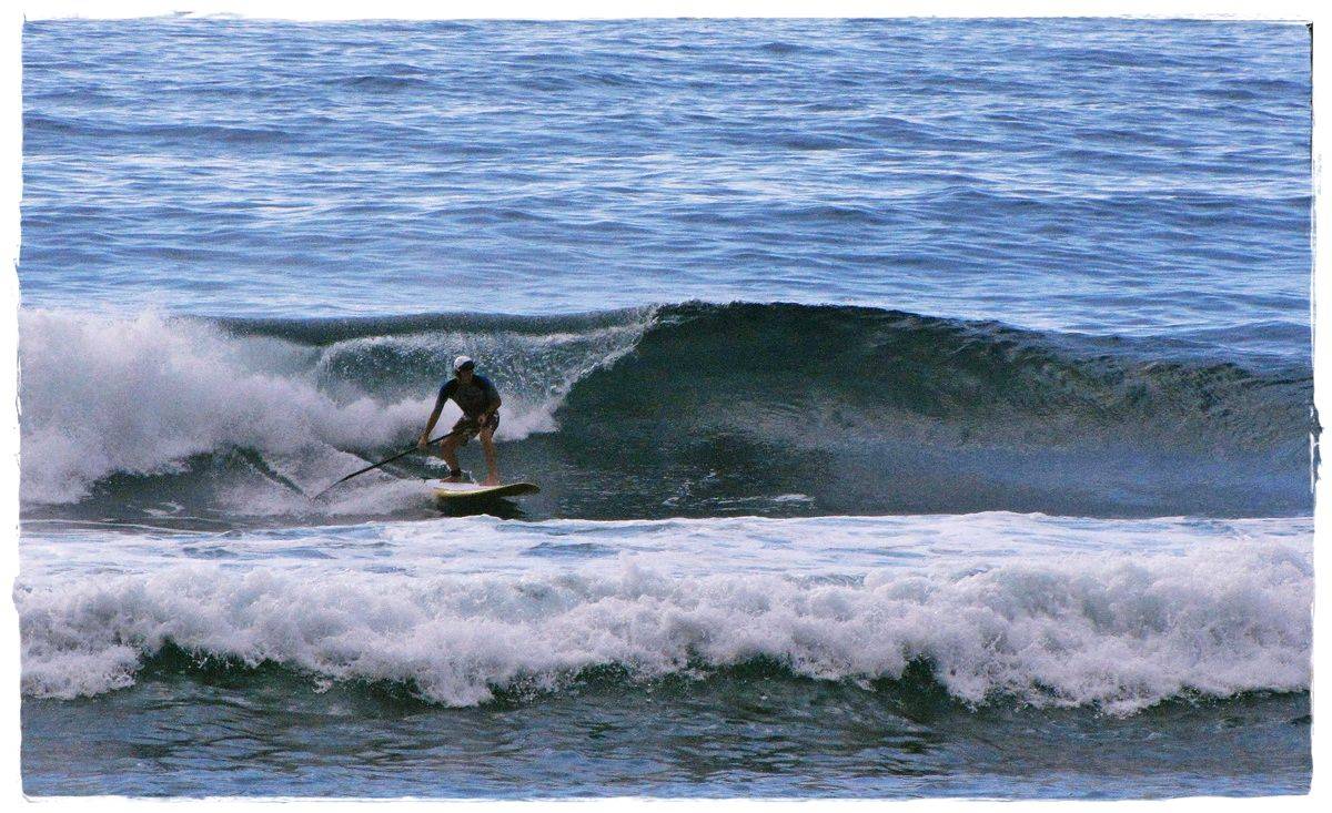 Tues Sharkies 039