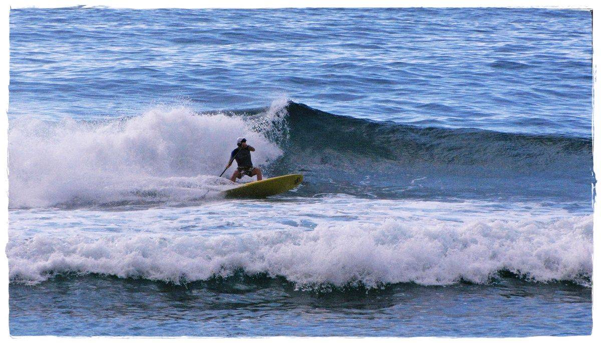Tues Sharkies 040