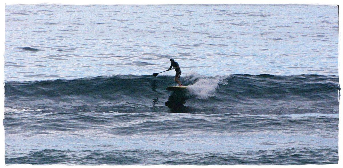 Tues Sharkies 059