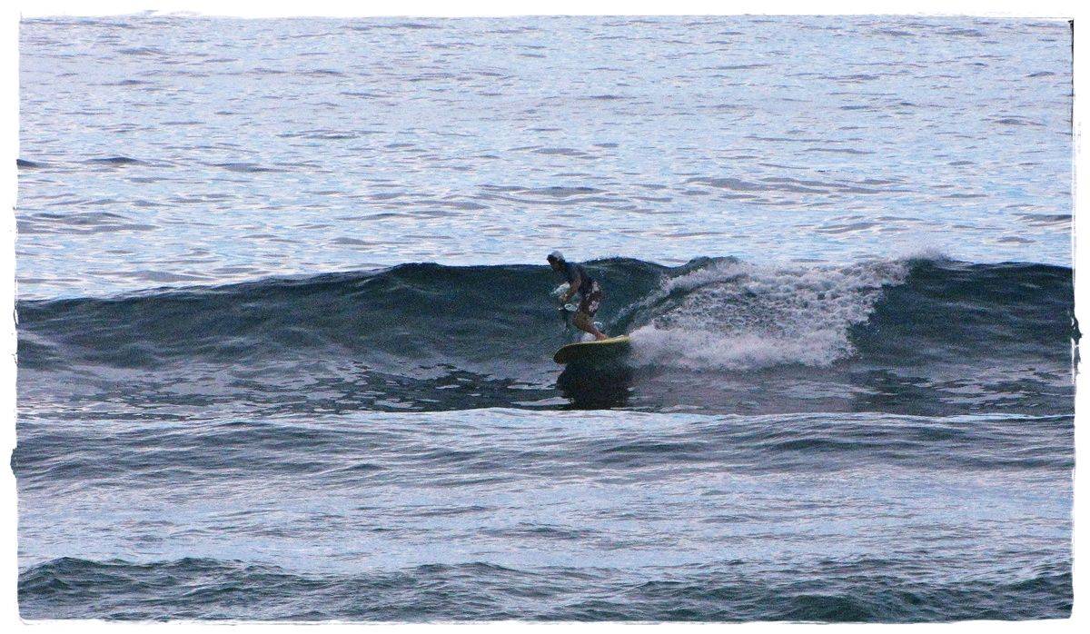 Tues Sharkies 060