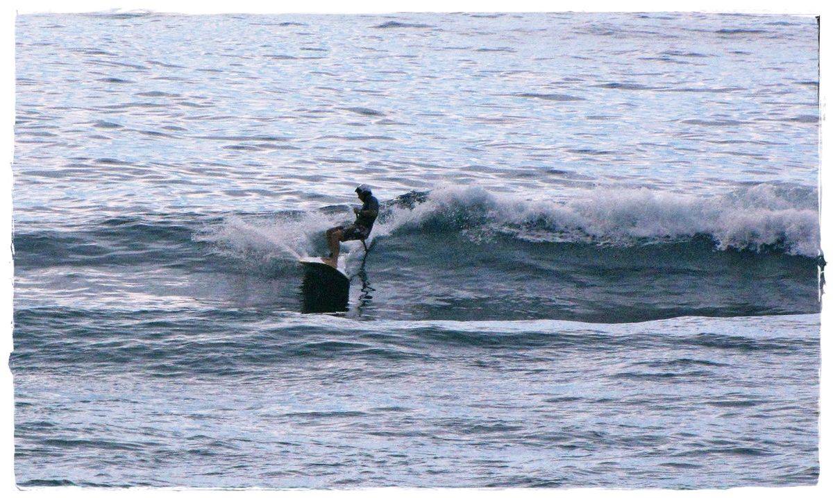 Tues Sharkies 062