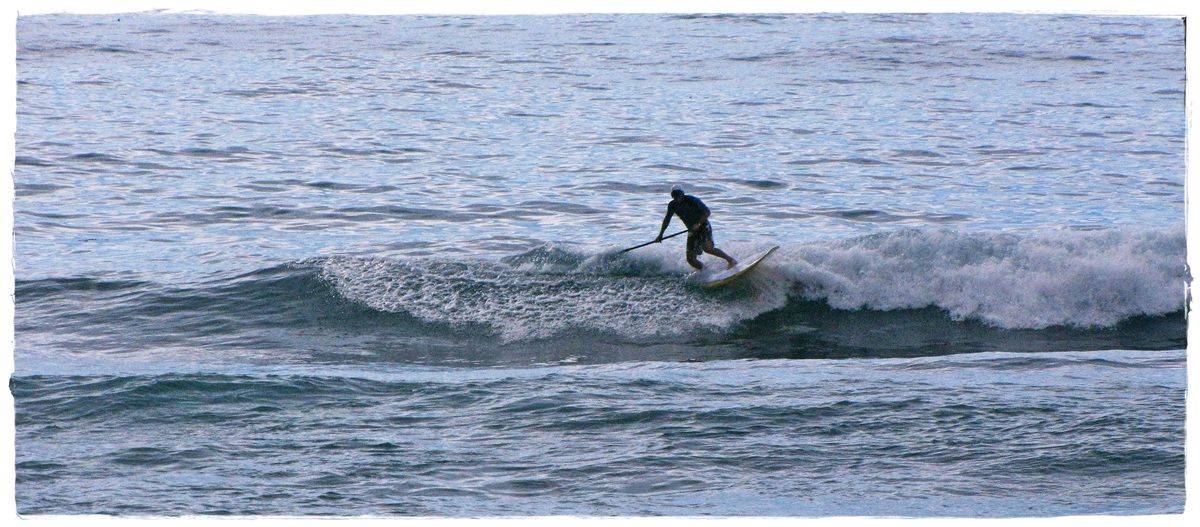 Tues Sharkies 064