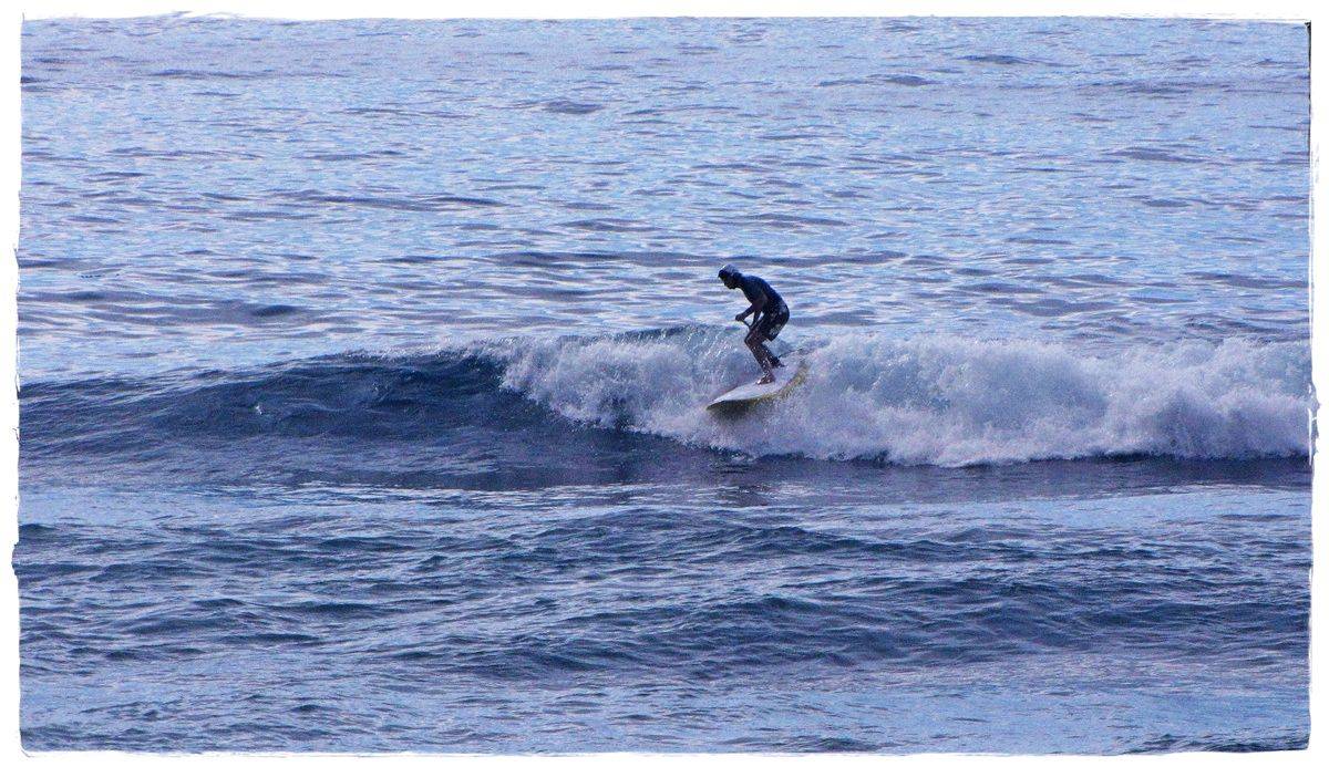 Tues Sharkies 066