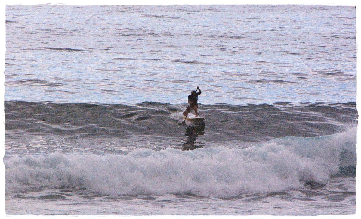 Tues Sharkies 071