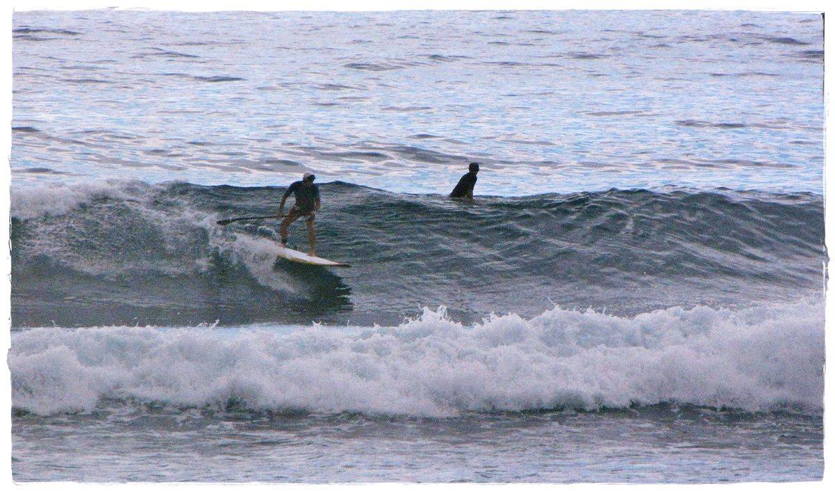 Tues Sharkies 076