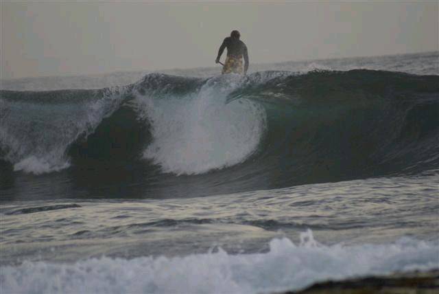 DSC02187 (Small)