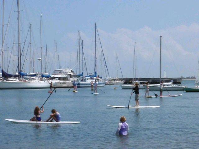 Demo paddle