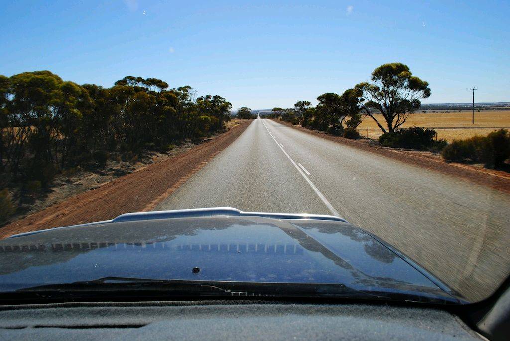 South trip