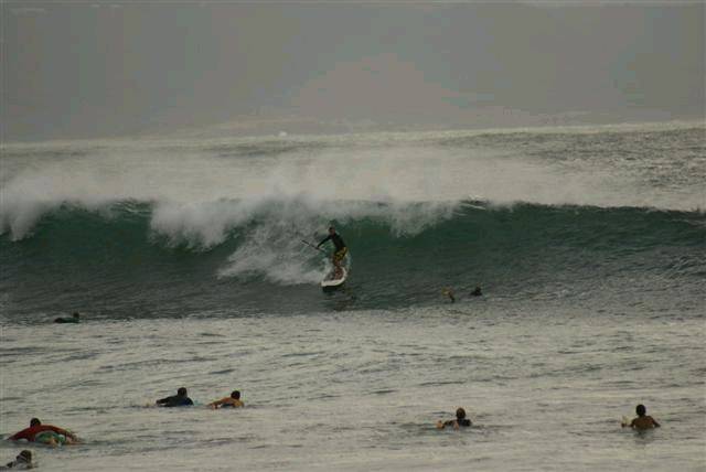 DSC01786 (Small)