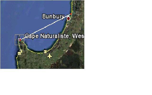 Cape Naturalist