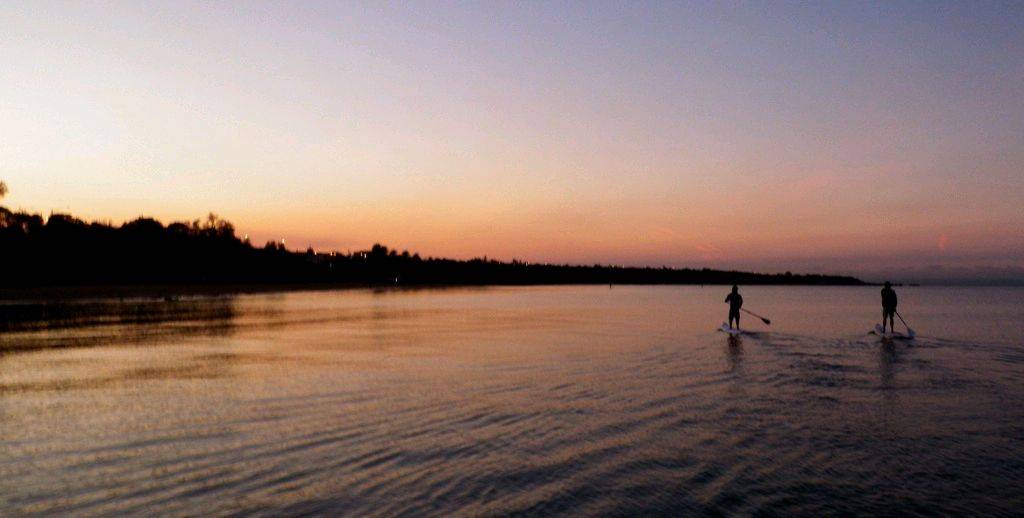 paddle1