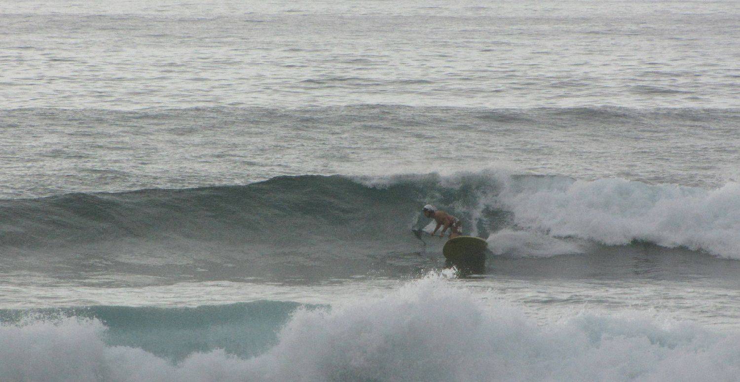 Sharkies 024