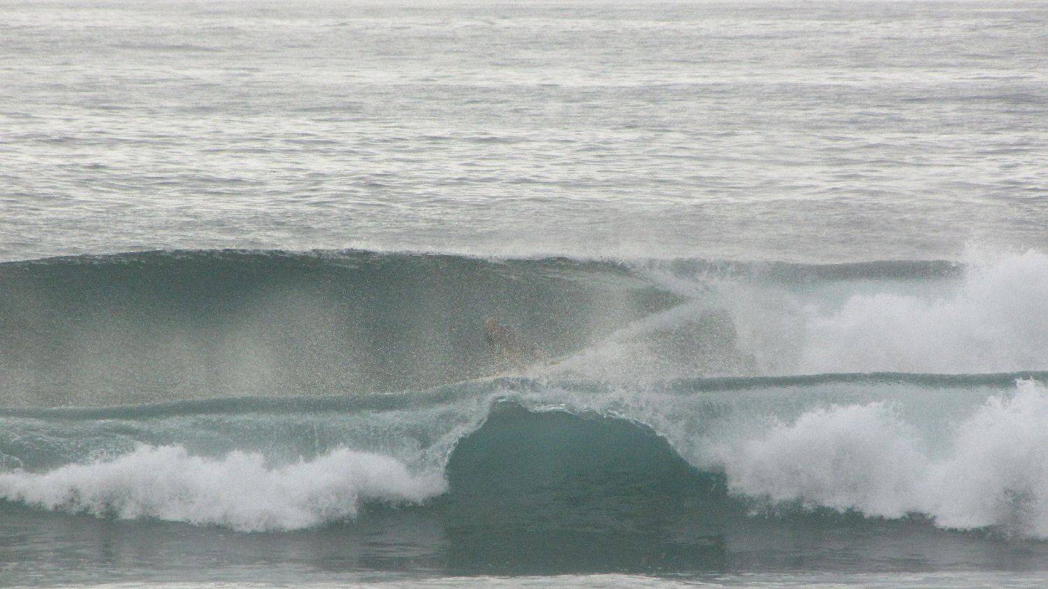 Sharkies 038