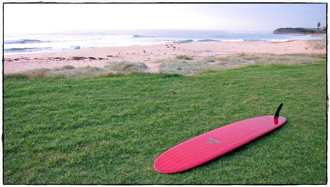 Sharkies 016