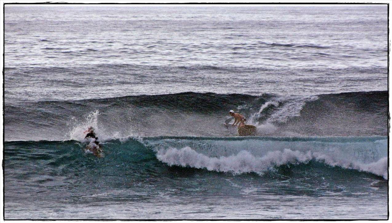 Sharkies 019