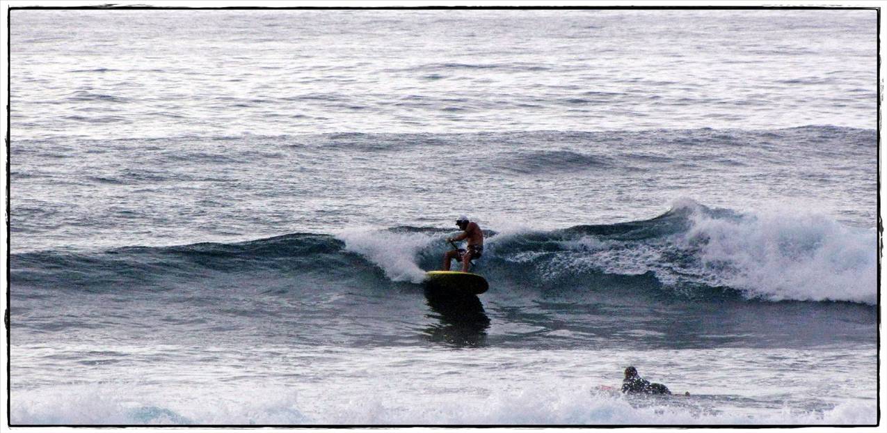 Sharkies 026