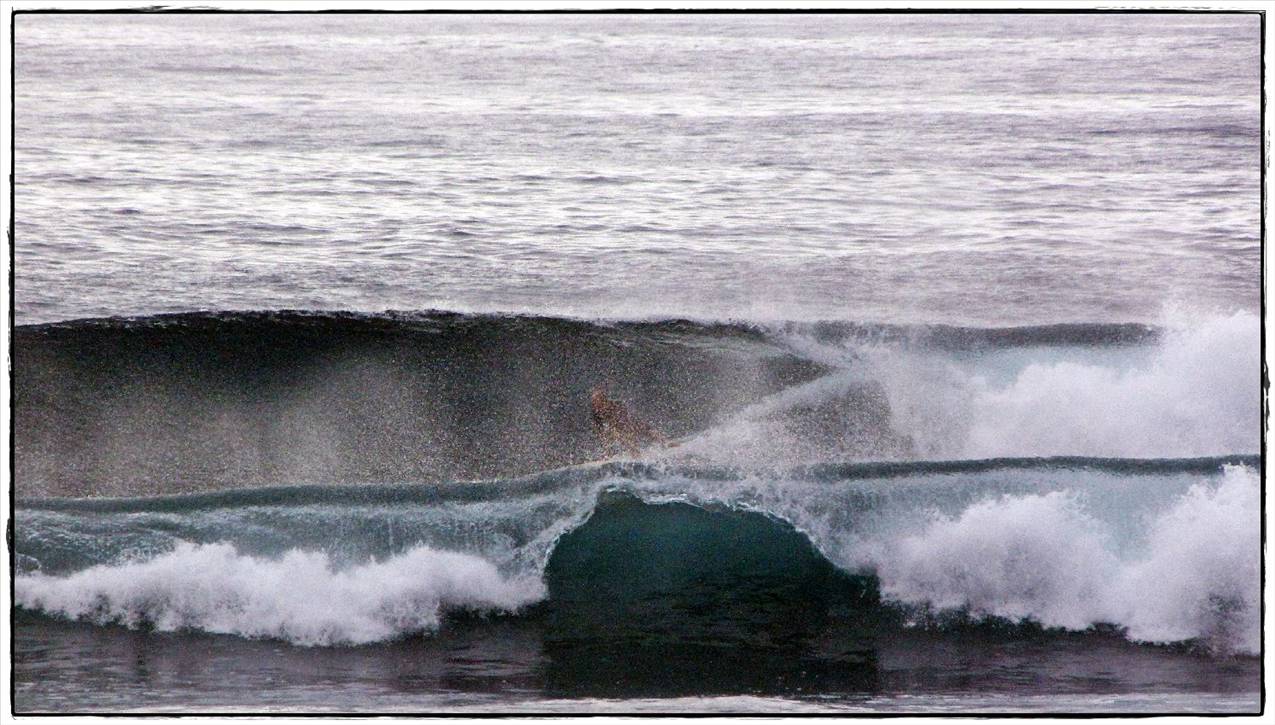 Sharkies 038