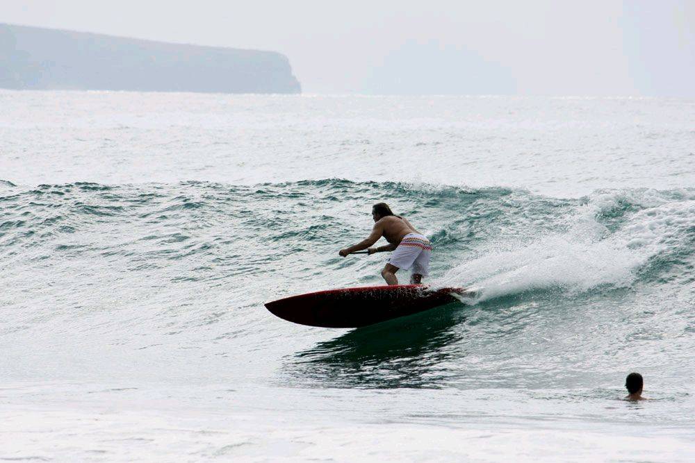 Palmy 3rd April 2010