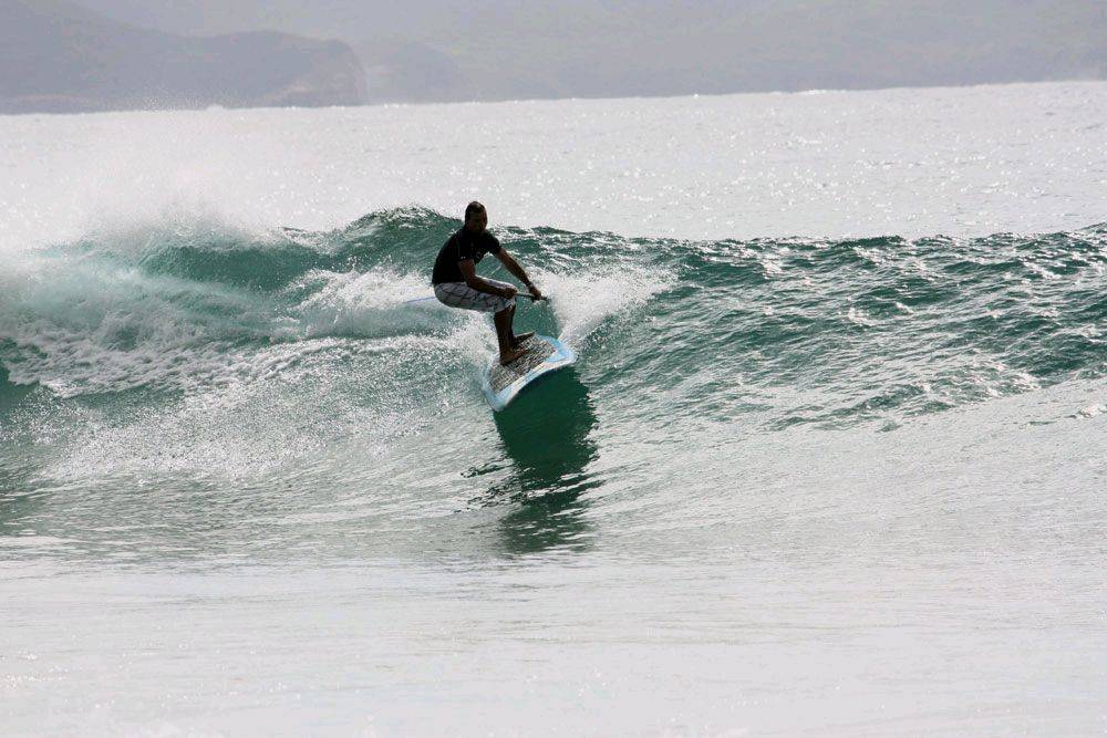Palmy 3rd April 2010
