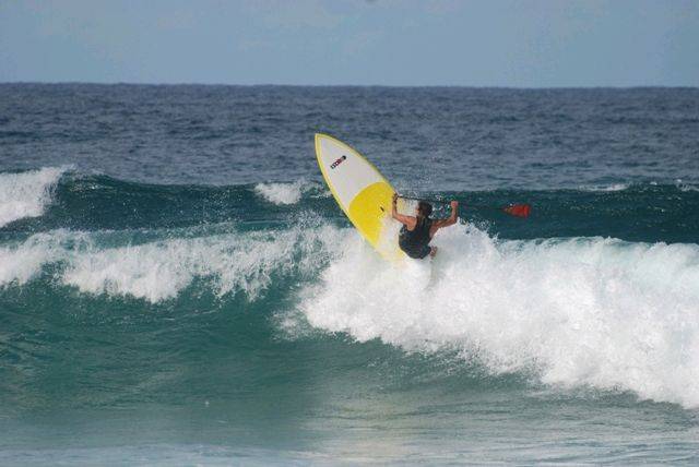 Onshore Palmy