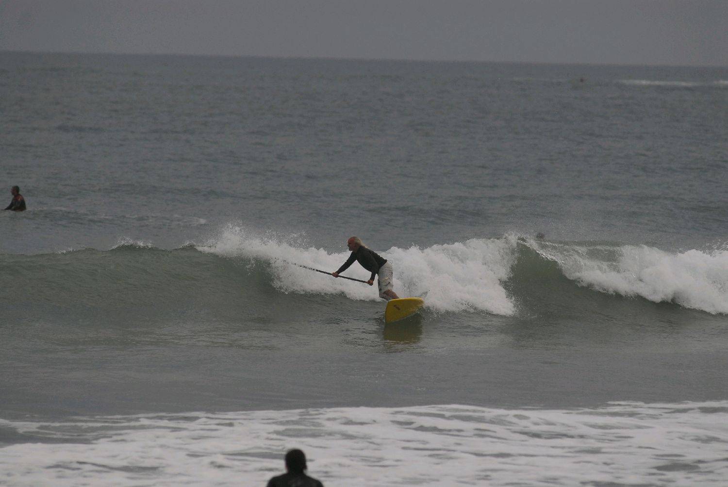  DSC0031