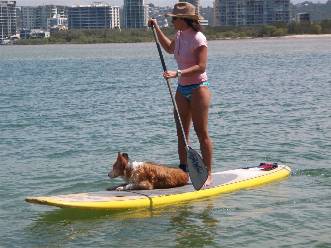 supdog2