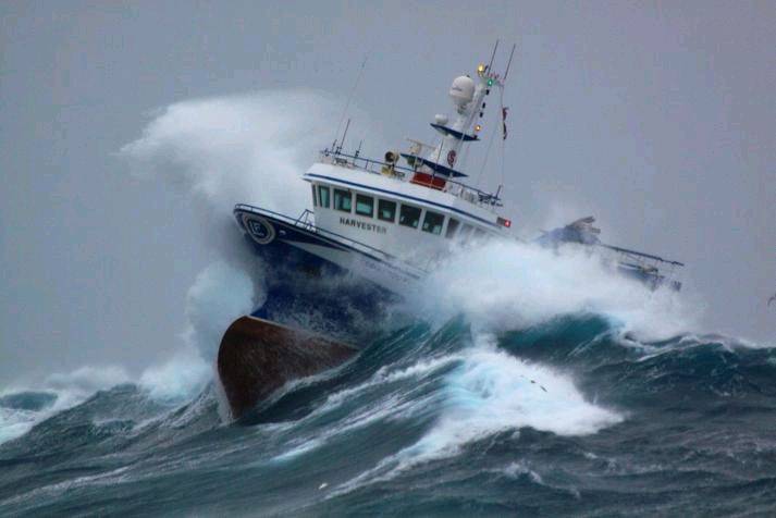 Downwinders Support Boat 1