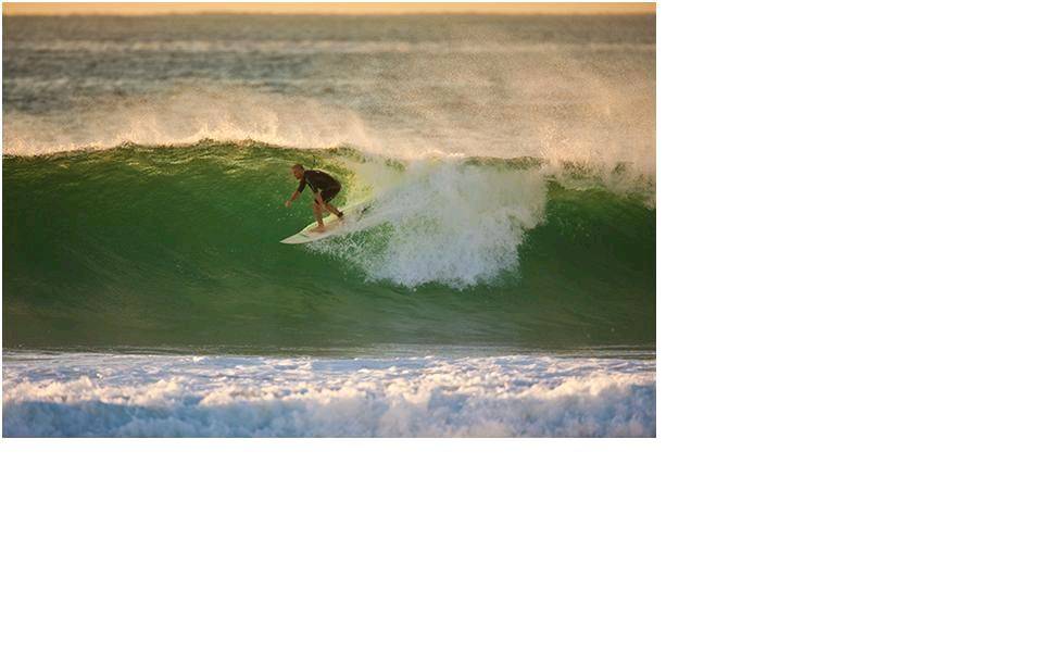 saltmotion curly one