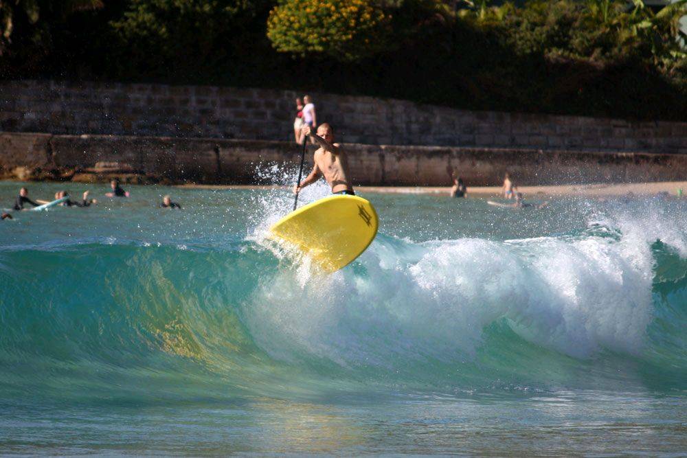 palmy session