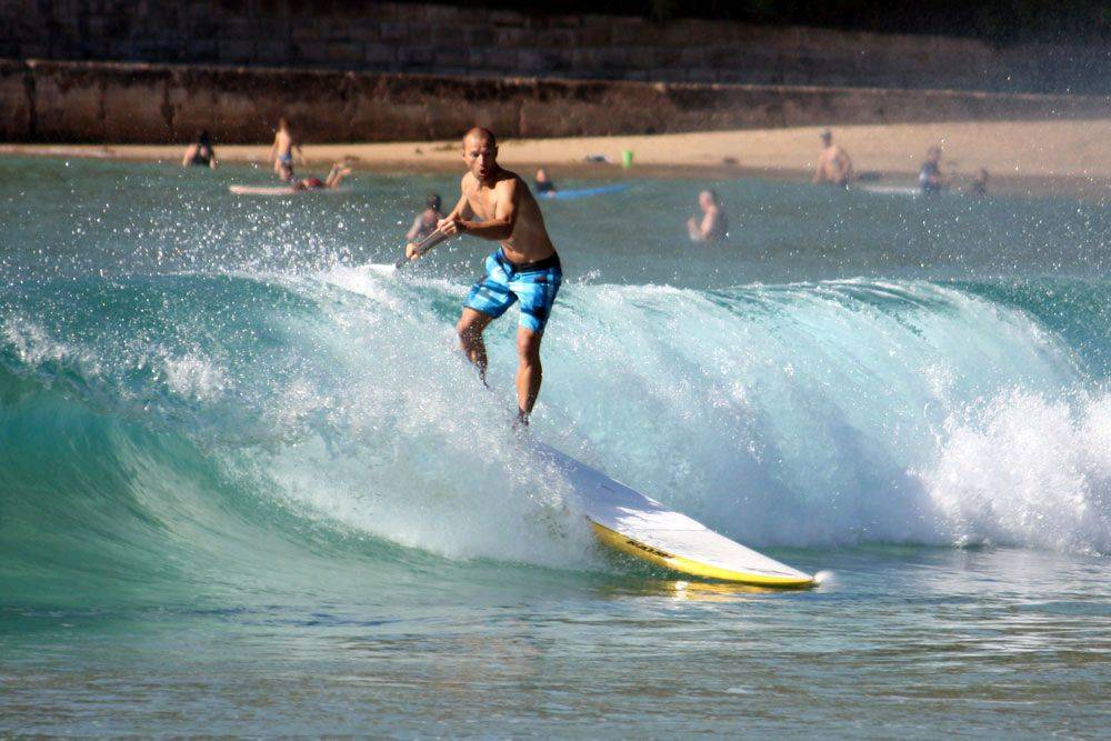 palmy session