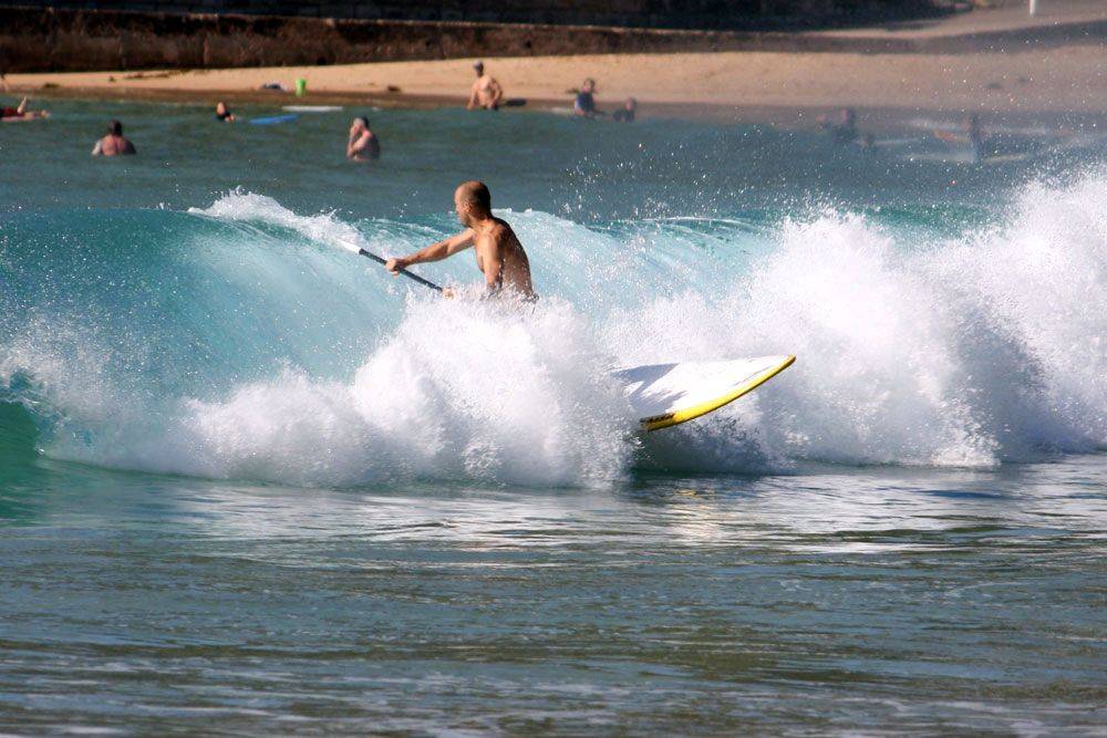 palmy session